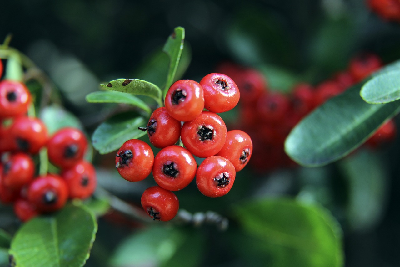 由青年隊教 由青年隊教