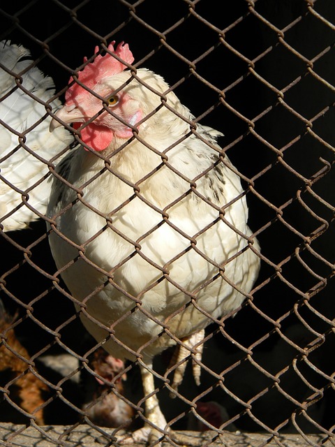 他的表现和 他的表现和