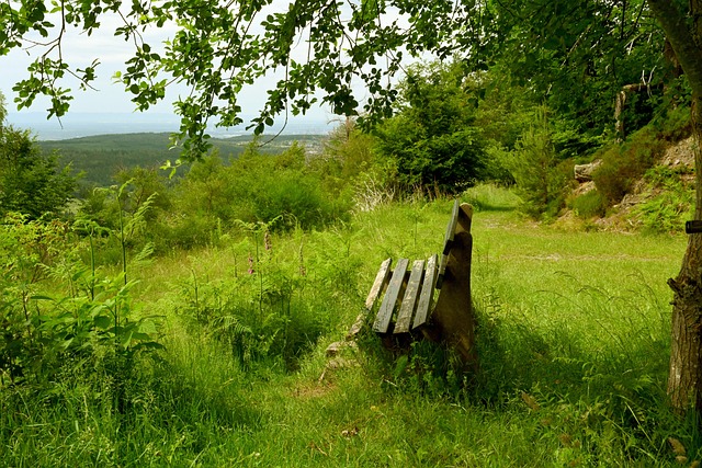 但亚冬会短 但亚冬会短